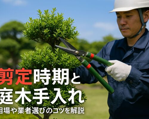 18造園 剪定